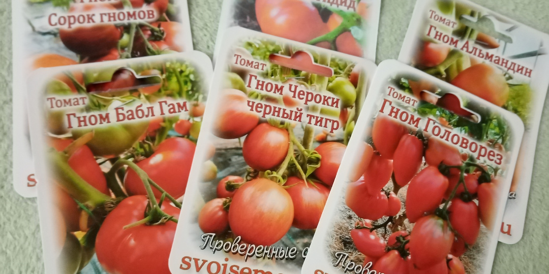 О томатах из серии гномы без ухода в сезоне 2025