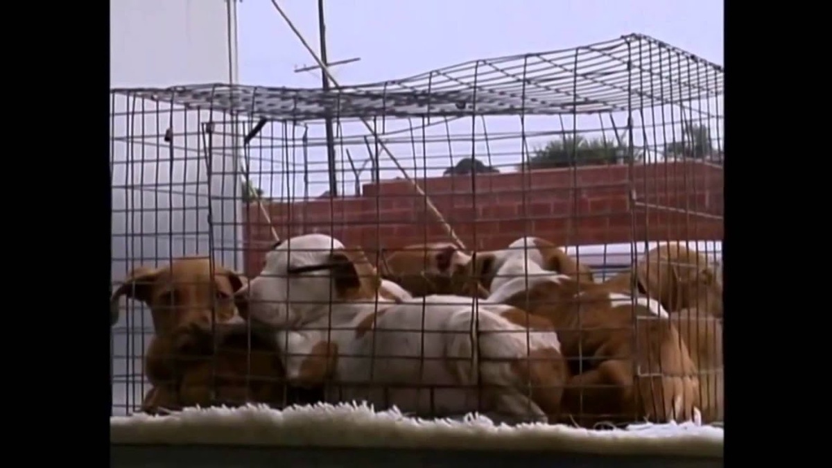 Кадр из фильма "Земляне" 2005 года