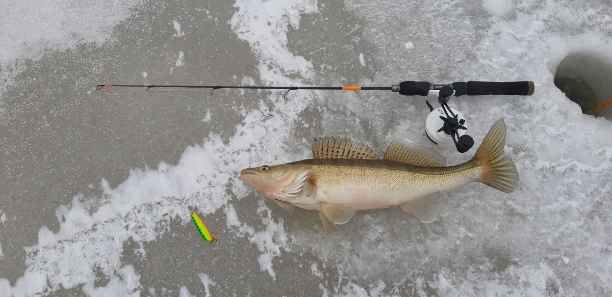 Блесна "Судачья" от ECOPRO