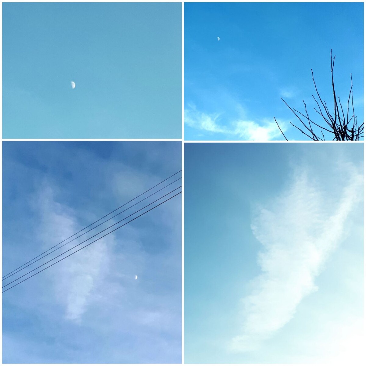 Коллаж автора статьи 26.01.2026г.