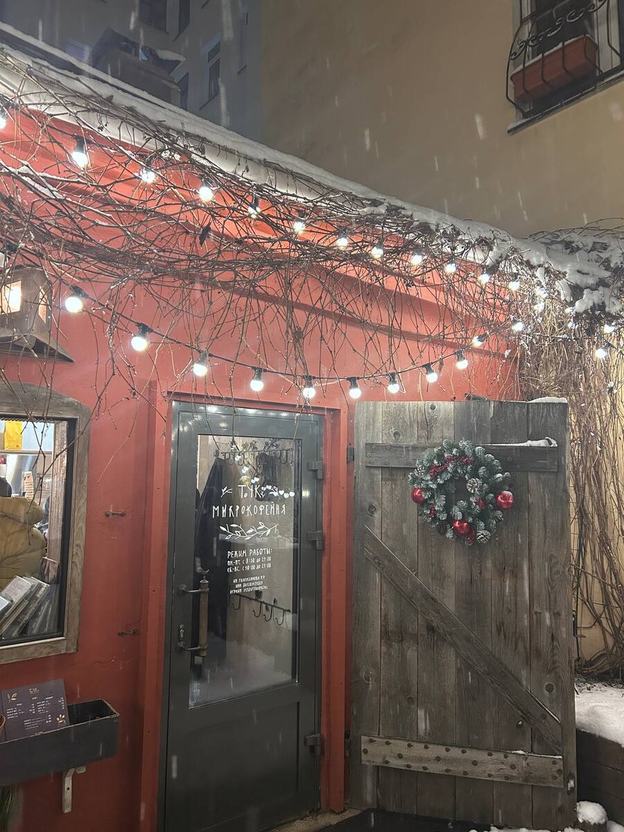 Фотографии из моего телеграм-канала @yegor_treschev