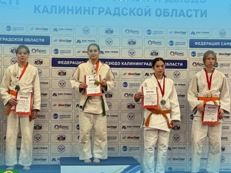     Фото: официальный телеграм-канал администрации Зеленоградского муниципального округа