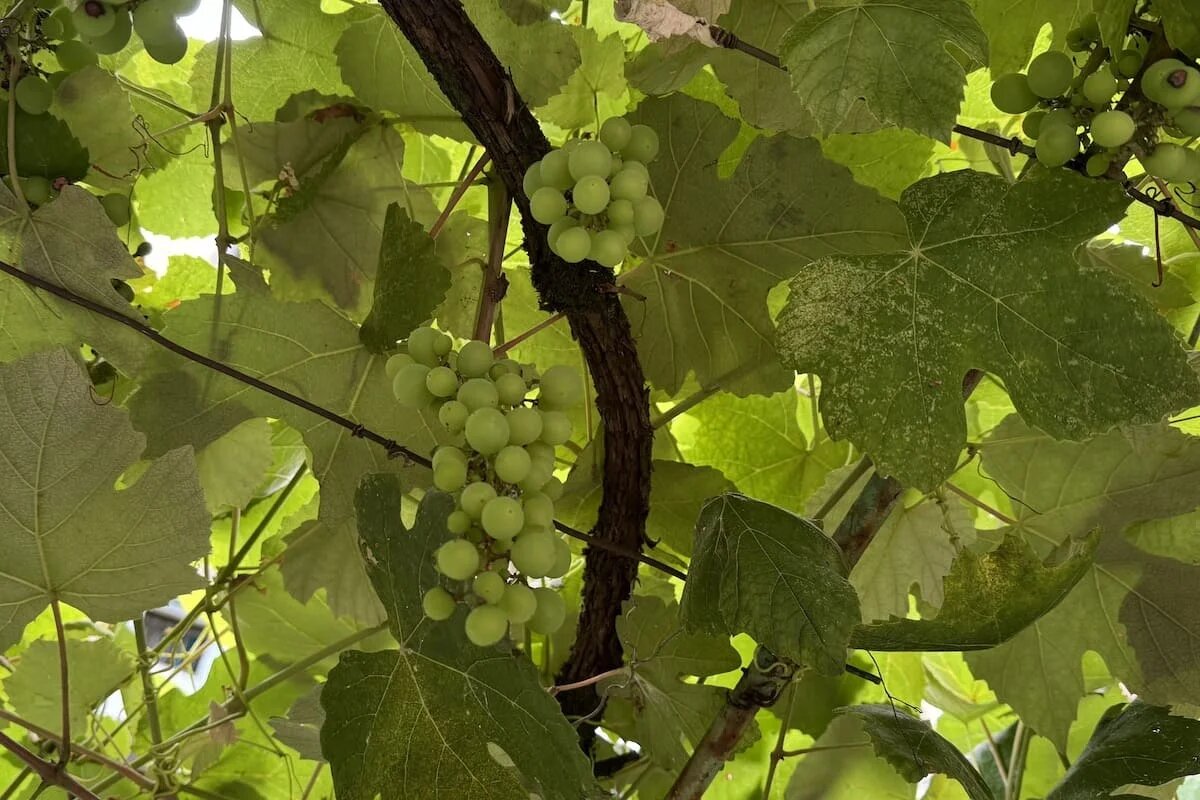 Фото: UfaTime.ru