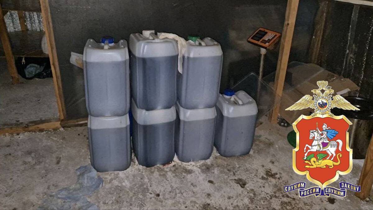    Фото: пресс-служба ГУ МВД России по Московской области / Telegram