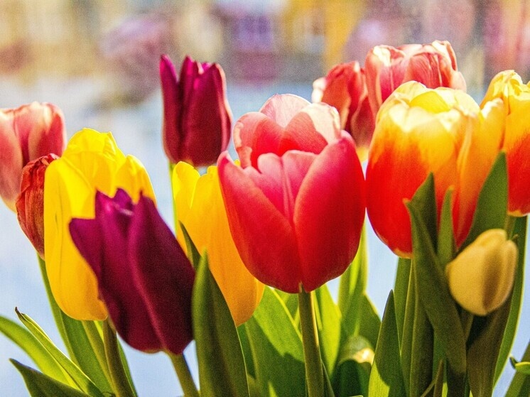     фото принадлежит ИА SM-News