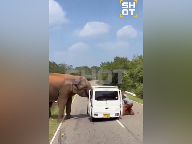    Фото: телеграм-канал SHOT