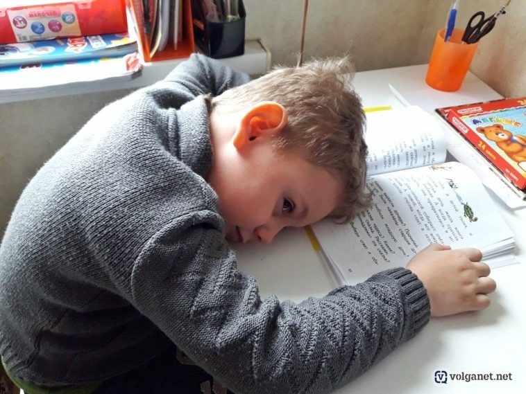 Фото: Volganet.net