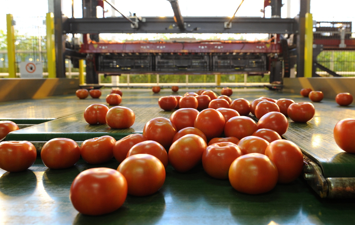 Александр Рюмин/ТАСС