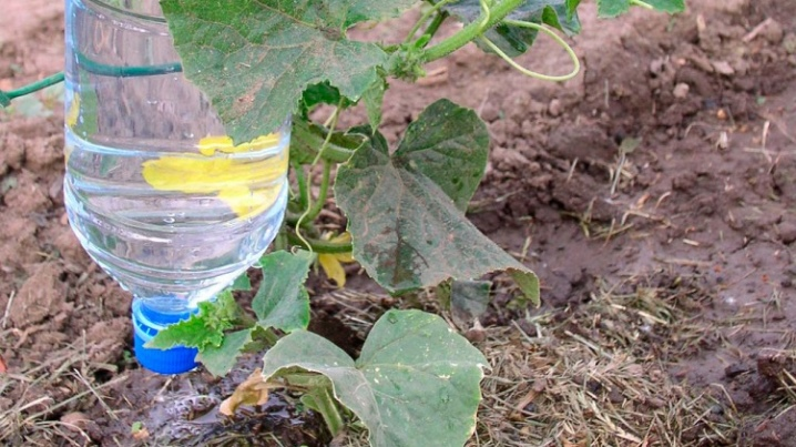 Бутылочку обернем...сеткой из-под овощей