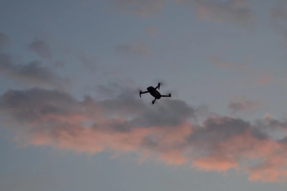    Тюменские школьники смогут освоить проектирование БПЛА