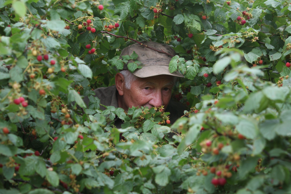    Создано ИИ/NEWS.ru