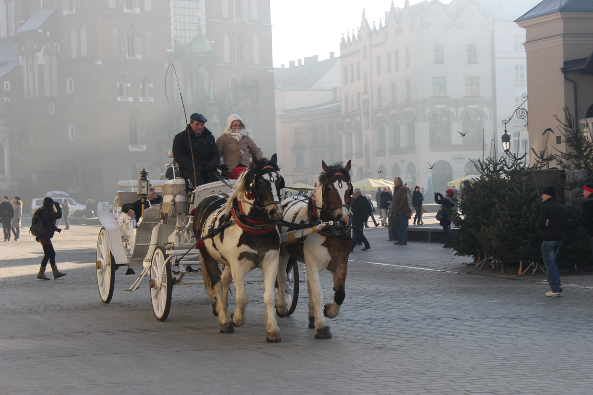 Фото Оли Синицыной