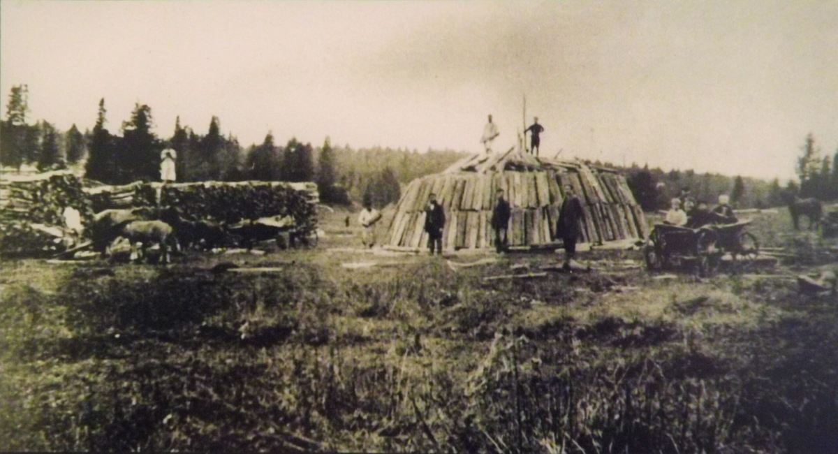 Углежоги на Урале 19 век