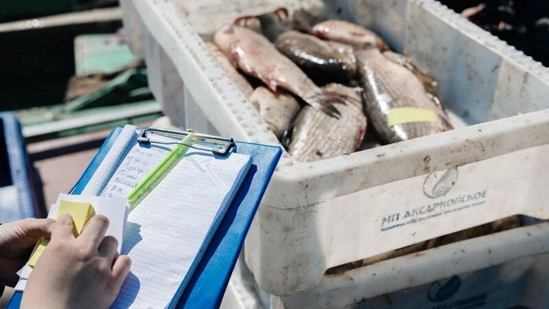    Фото: Андрей Ткачев/«Ямал-Медиа»