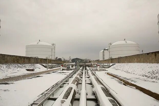    Фото: lenta.ru Полина Белоусова