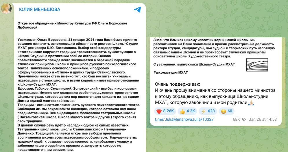    Скриншот: Telegram/@JuliaMenshovaJulia