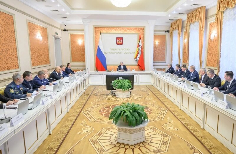    Автор фото: пресс-служба правительства Воронежской области