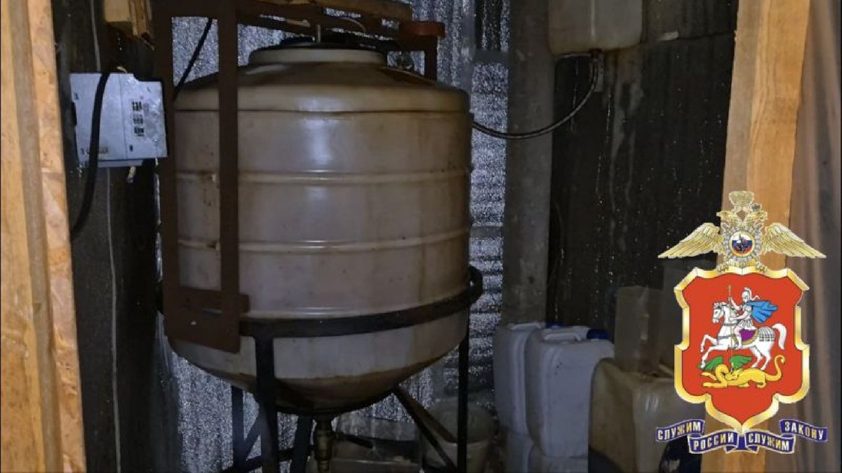    Фото: пресс-служба ГУ МВД по МО