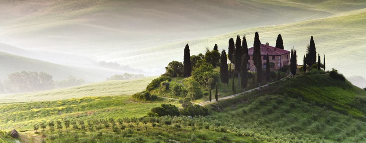 Гравитационное виноделие – способ производства вина без применения механической силы.