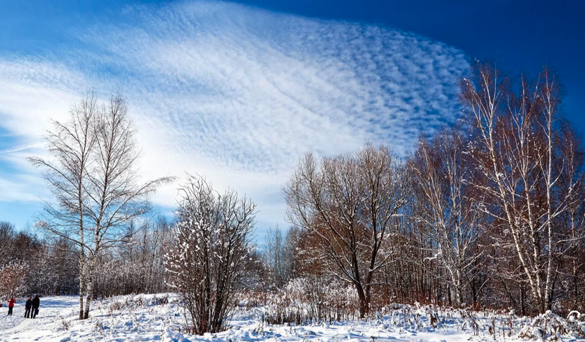    Фото: Максим Денисов / Mos.ru