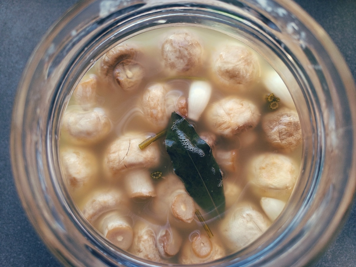 Уже готовые грибочки