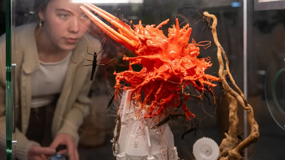   Пресс-служба ВДНХ