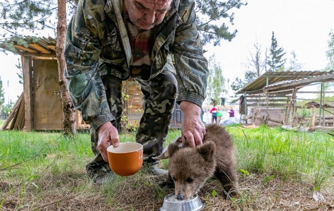 Фермер нашёл на участке истощённого медвежонка и не смог отпустить его обратно в лес