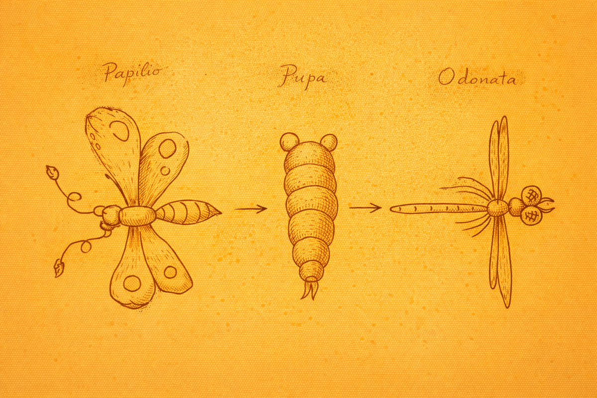 Выбираем, кем стать!