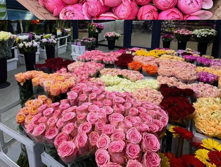 Может ли быть что-то эффектнее, чем монобукеты