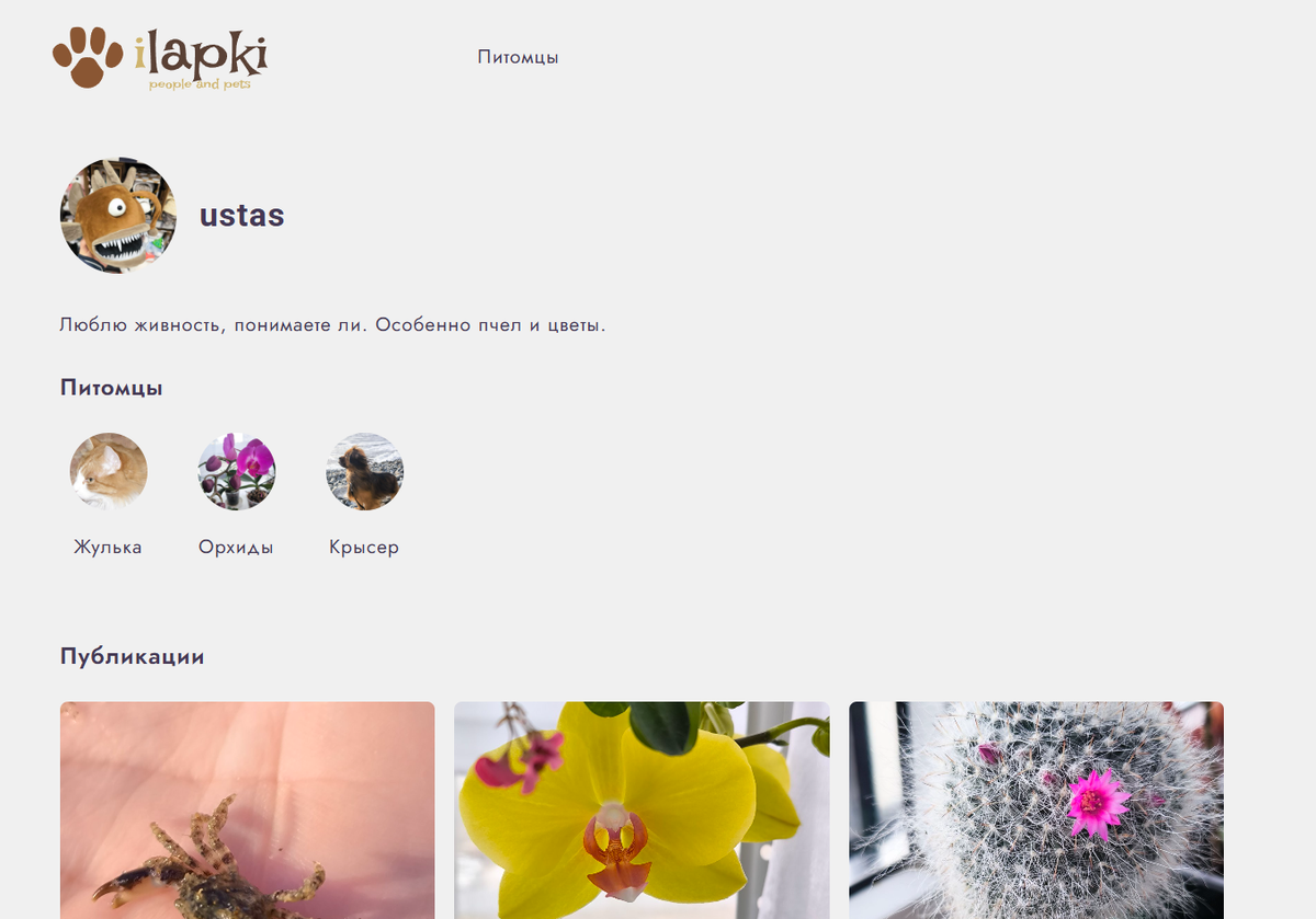 Простейший профиль. Доработаем скоро. Но уже можно делится своими фото. Со всем миром.