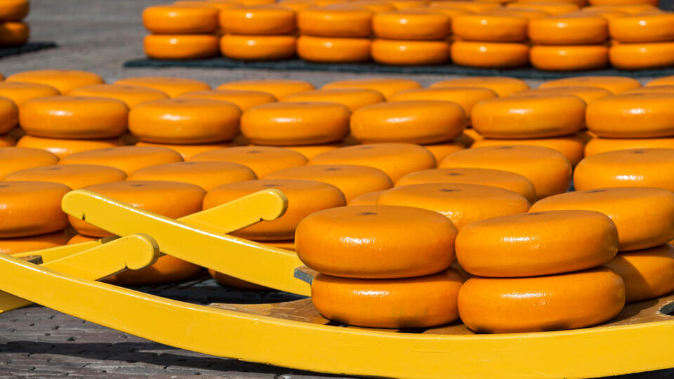 ФОТО: www.globallookpress.com/Guenter Fischer/imageBROKER.com