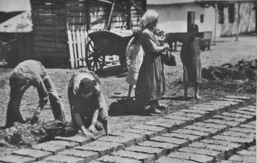 Фото взято из открытых источников Яндекс