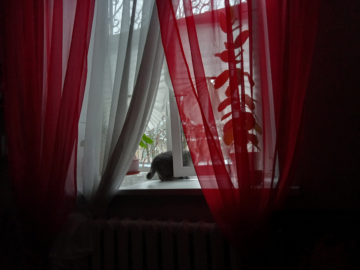 Фото автора