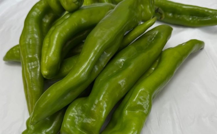    Фото: ФГБУ «АПК НАЦРЫБА»