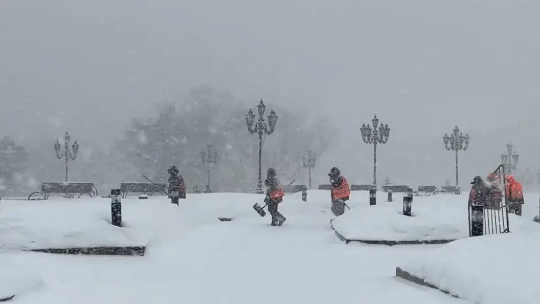    Фото: Телеканал Царьград