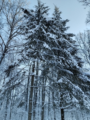 Фотография из личного архива автора