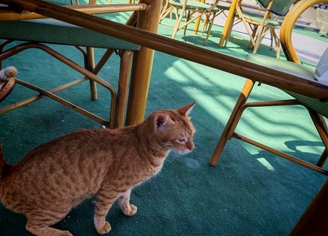 Фотография из личного архива автора