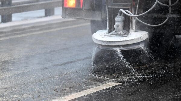    © Sputnik / Михаил Воскресенский