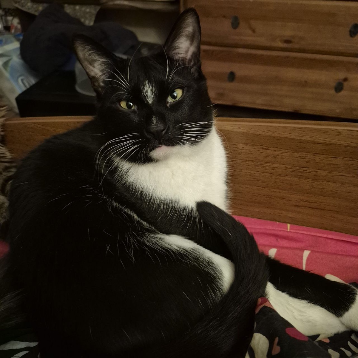 Вы же меня помните