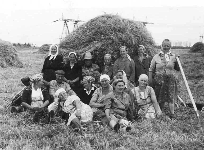 Взято из открытых источников интернета Яндекс.