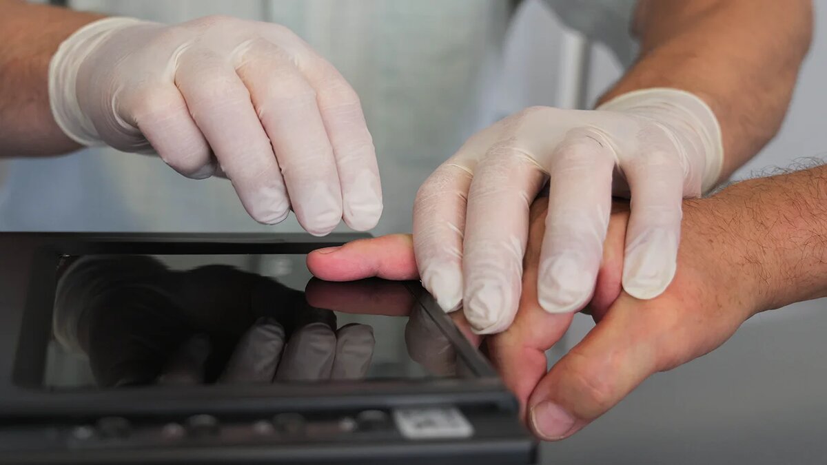   Егор Алеев / ТАСС