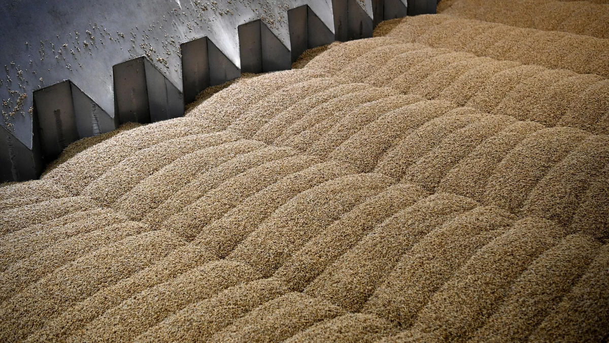 © photo: Sputnik / Alexander Kryazhev 