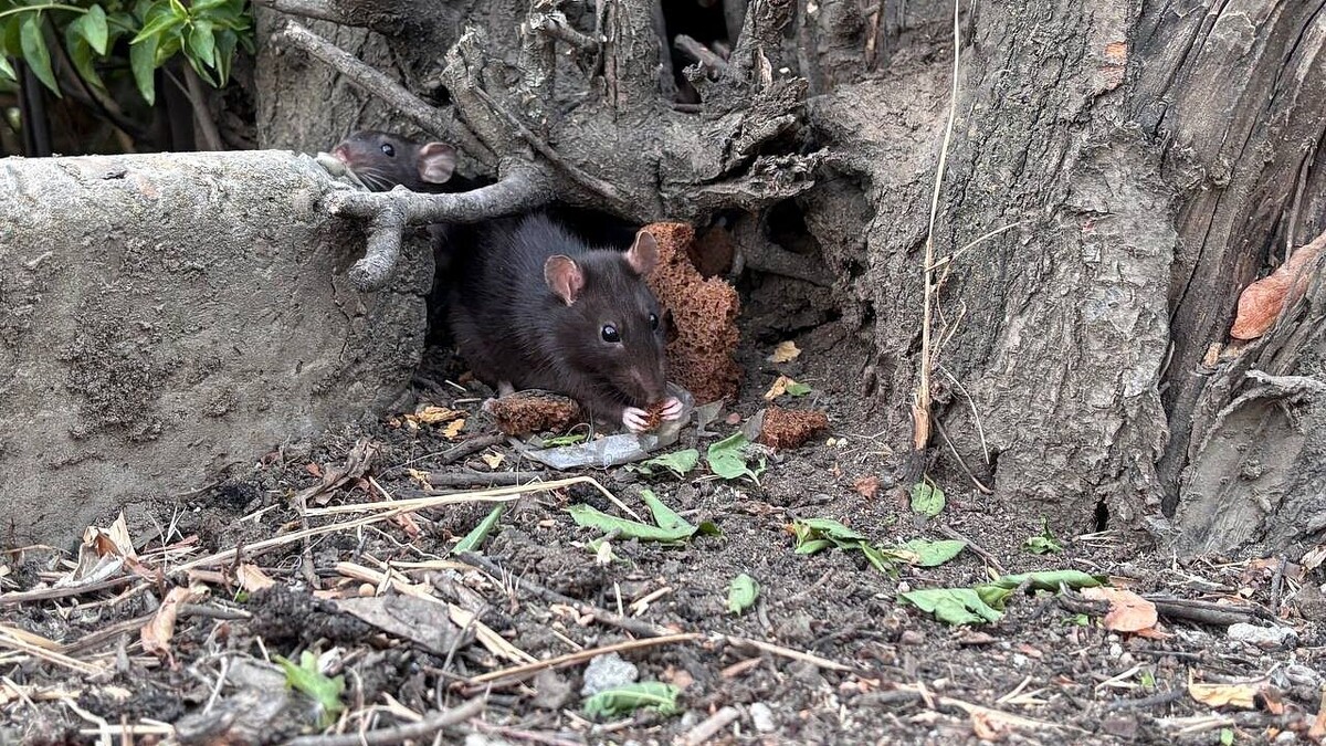    Фото: телеканал «Краснодар»