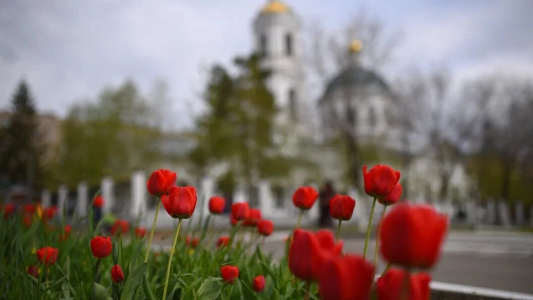    ФОТО: ЦАРЬГРАД