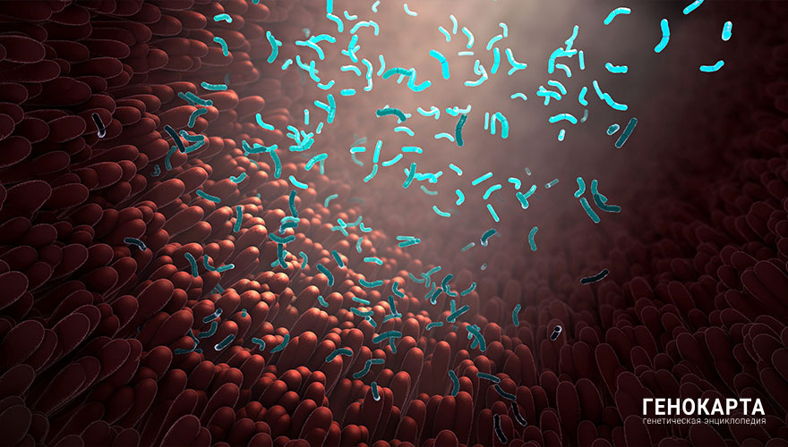 Christoph Burgstedt // shutterstock.com