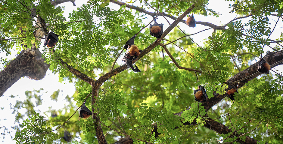 Фото: Md Rafayat Haque Khan/Keystone Press Agency/Global Look Press