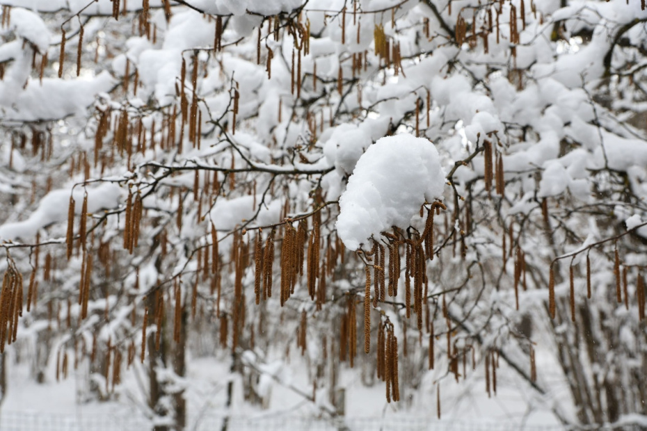    Наталья Шатохина/NEWS.ru
