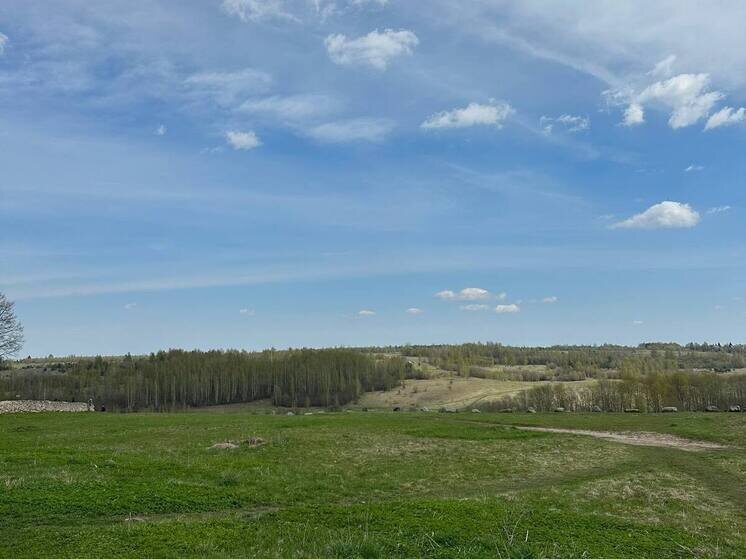     фото: архив мк в мурманске.