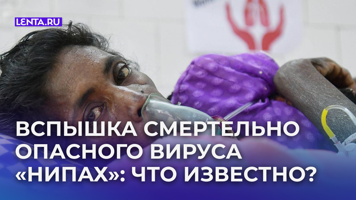    Фото: Abhisek Saha / Majority World / Universal Images Group via Getty Images