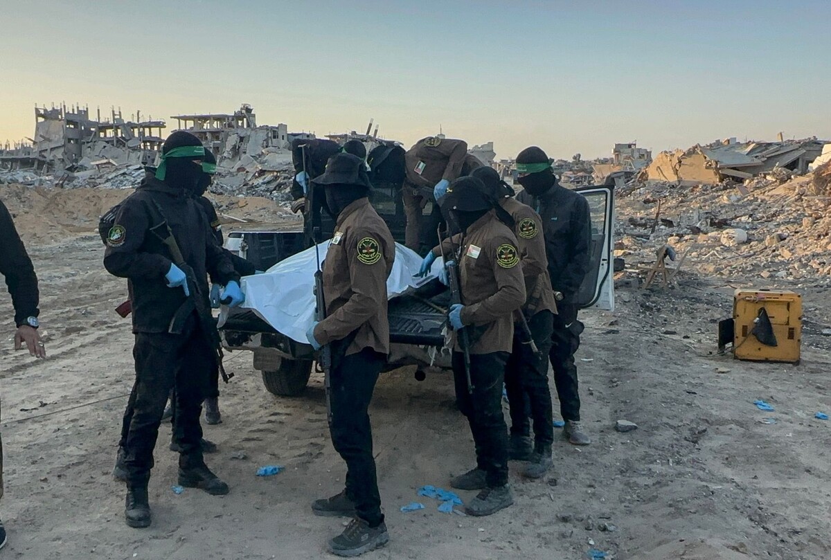     / Источник: © Global Look Press